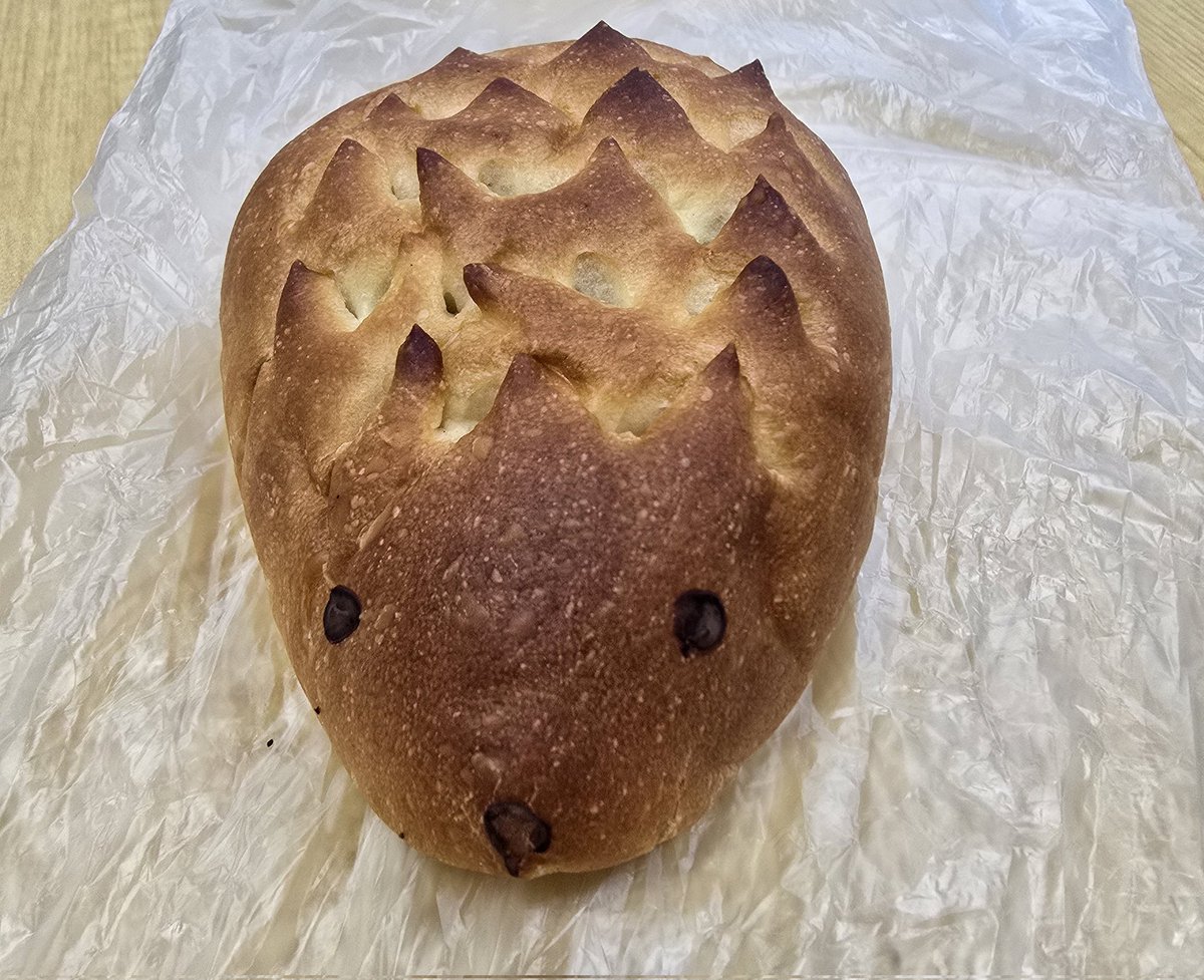 ハリネズミハウス　食パン ご飯うまうま🍚ﾑﾁｬﾑﾁｬ . . #harrywoodnamba #harrywood #ハリー