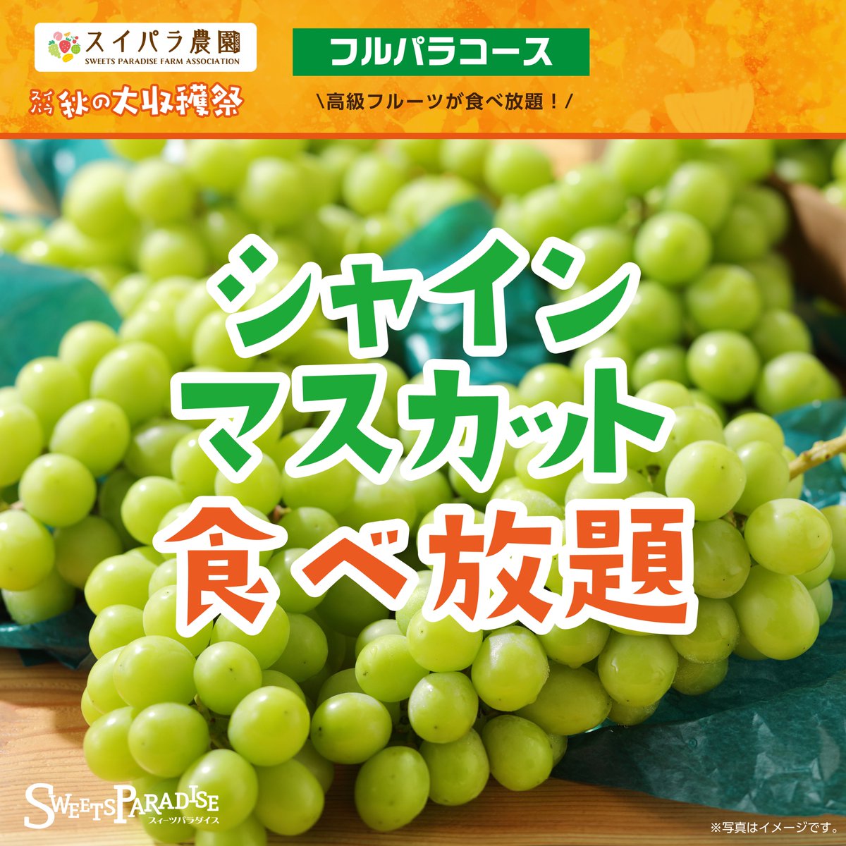SweetsParadise_'s tweet image. ／
　　　　🍙10/10～✨
スイパラ秋の大収穫祭開催決定 
＼ 

今年も「塩むすび×豚汁」の 
“最強コンビ”が帰ってきました🍙🐖

山形県のスイパラ農園で収穫した新米「はえぬき」 を使用した「塩むすび」が待望の復活🍙 

詳細はこちら 
sweets-paradise.jp/news/news_cat/…
#炊イパラ #スイパラ