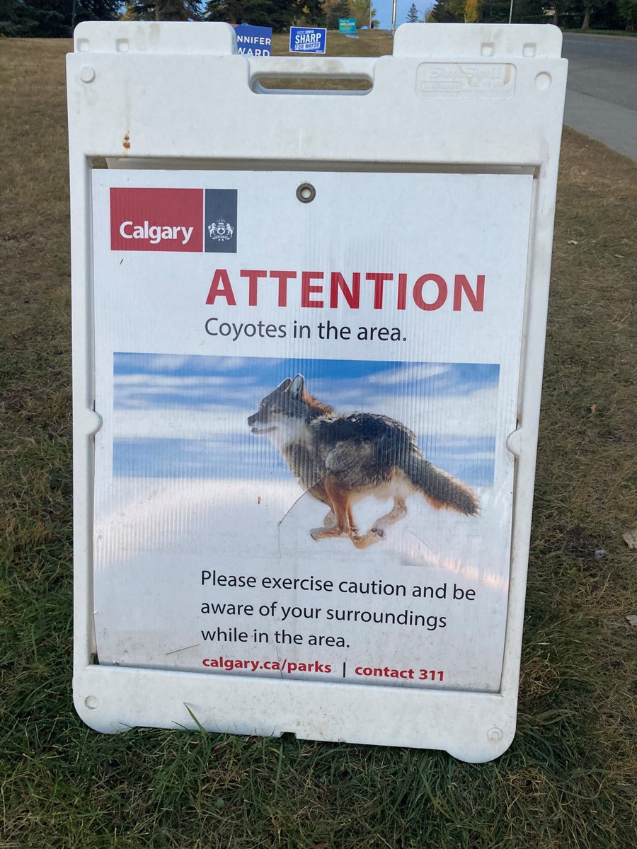 Darren Dyck tweet media