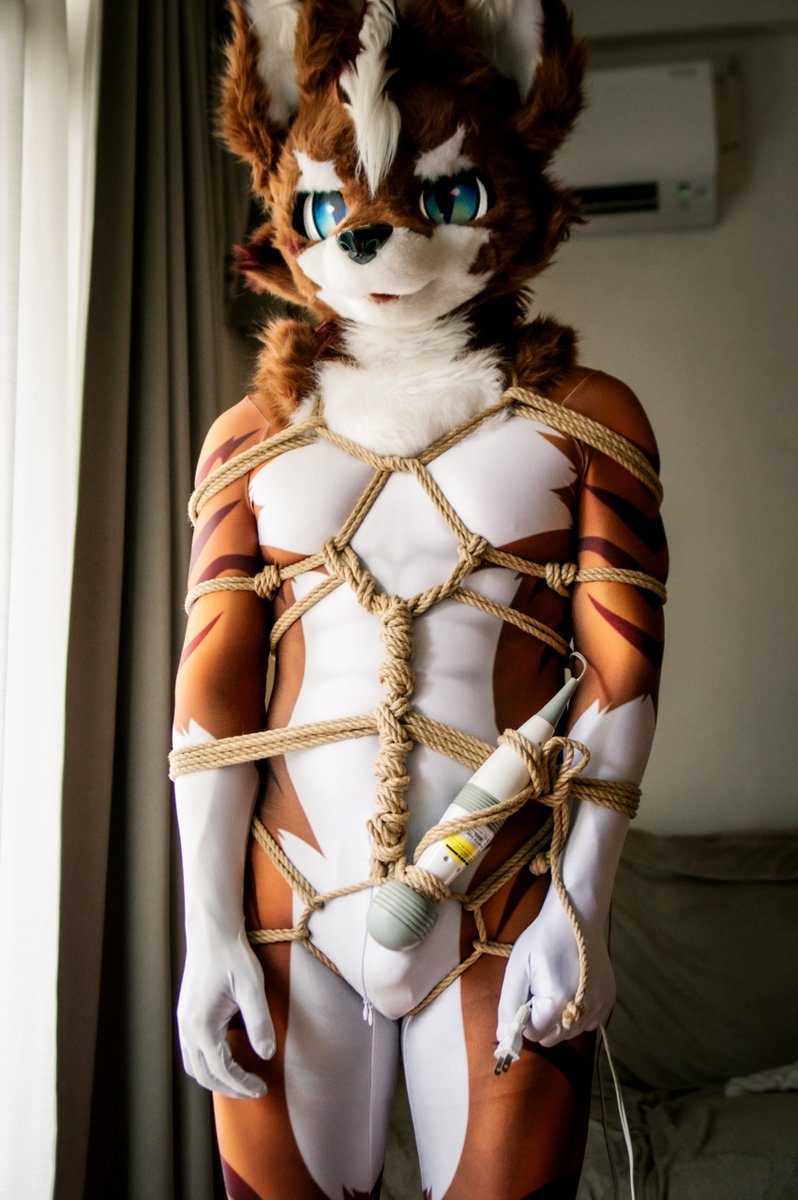 【中文怪物】
「我找不到插座，你有頭緒嗎？」

下列語意何者正確：
A. 他想找頭緒
B. 他是變態
C. 他想找插座
D. 他想找屁眼