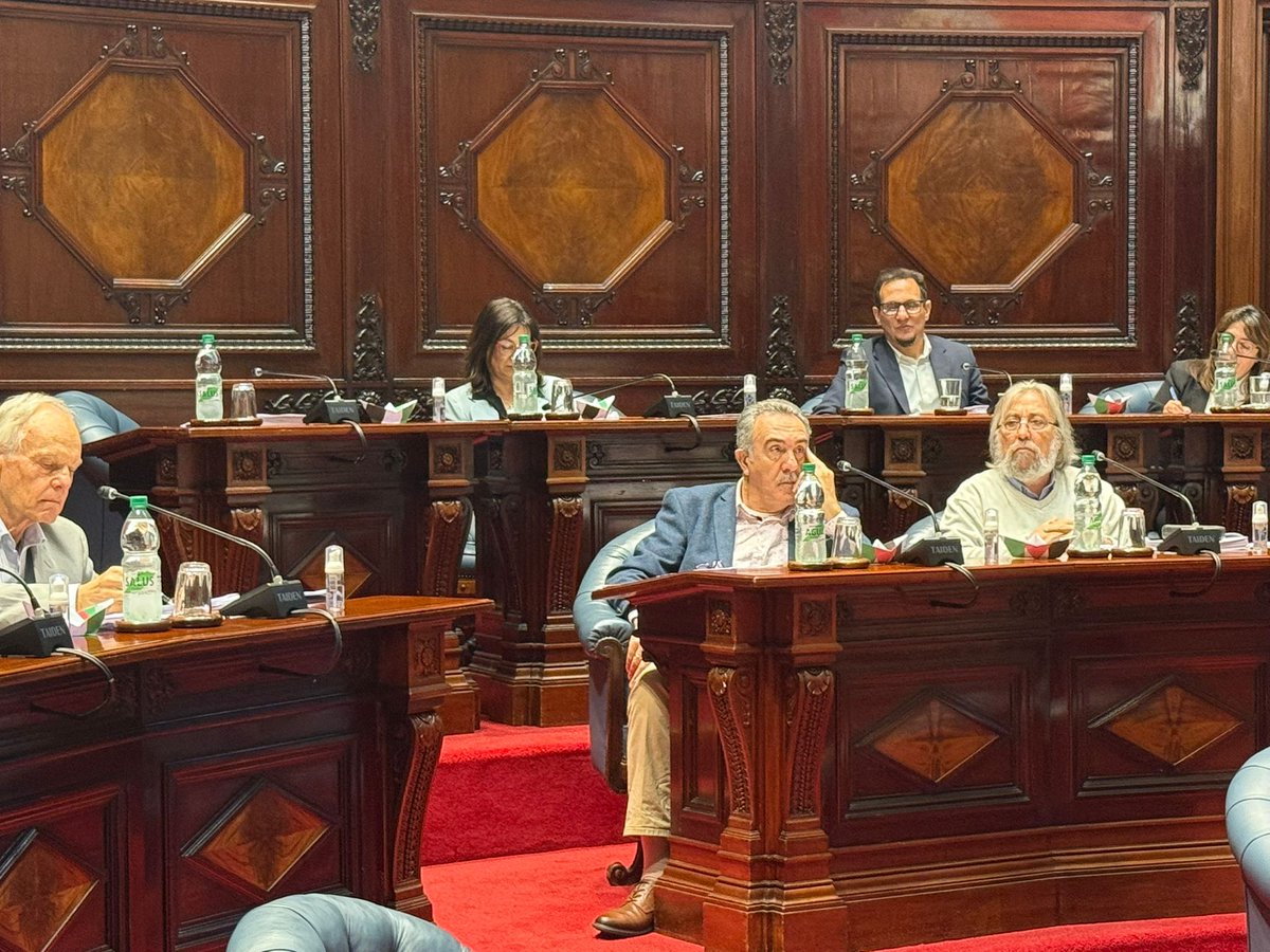 Senadores frentistas exhiben BARQUITOS de PAPEL homenajeando a la flotilla woke. 
Pongan FOTOS de los SECUESTRADOS si les importa los DDHH. 
Estos legisladores mañana te aparecen con vincha verde y un Lego con los túneles de Gaza.
#Cansalmas