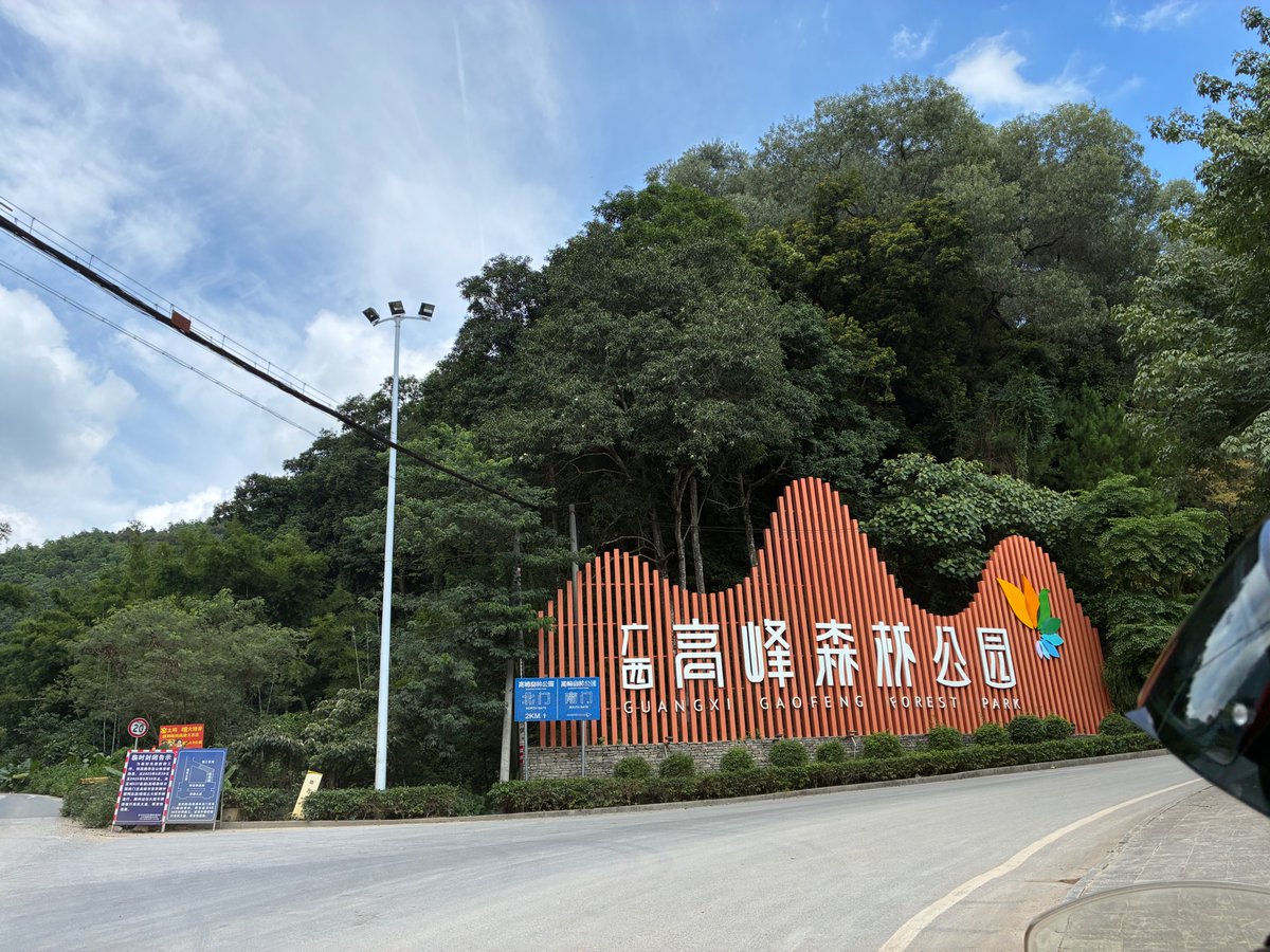 贪吃的猪 tweet media