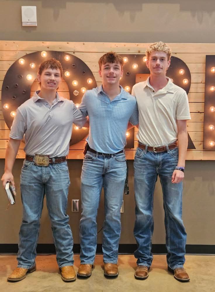 Forrest Davis tweet media