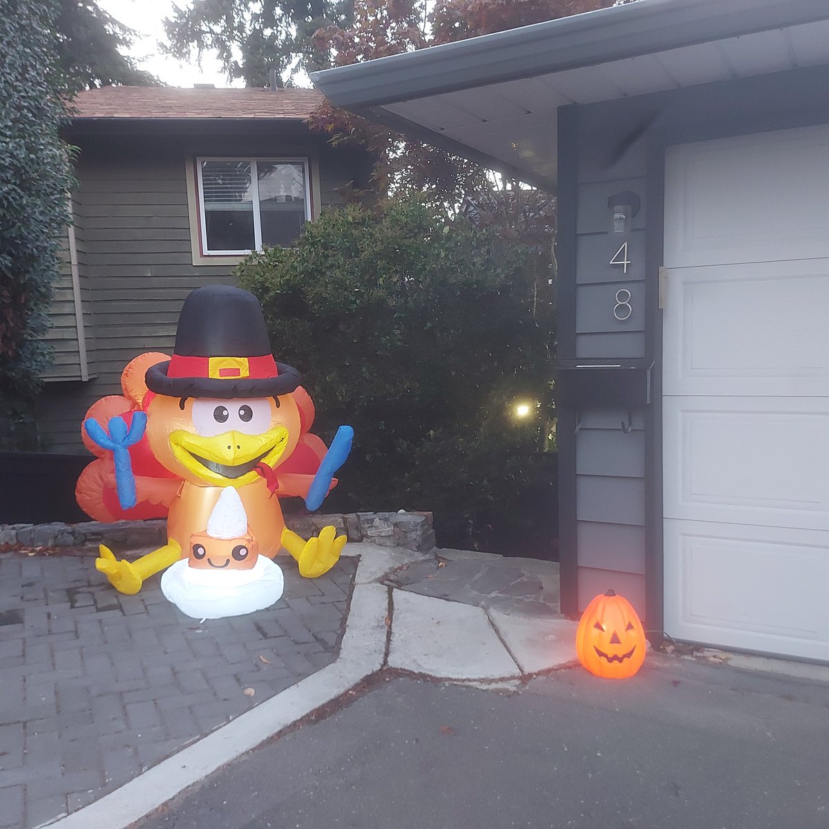 Actively lulling the neighbourhood into a false sense of security before I go buck wild on #Halloween decorations.

Enjoy it while you can. The body parts are coming.