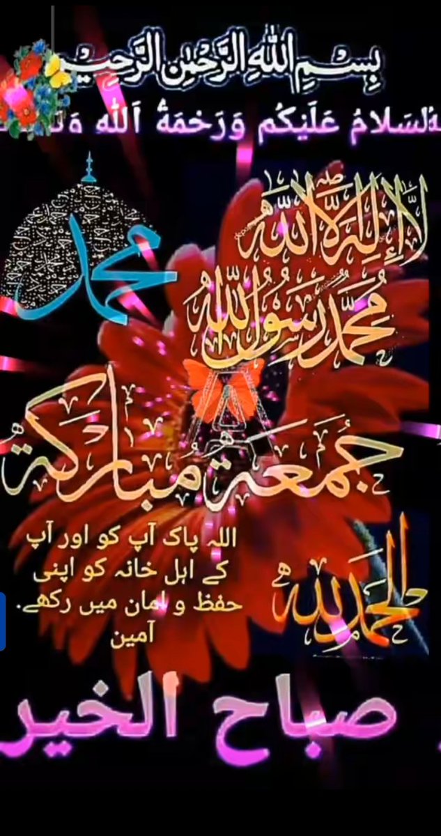Sania Amir tweet media