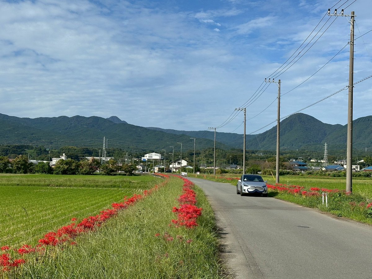 PyreneanVillage's tweet photo. 矢倉岳
日本一の速さで隆起した山⛰️
矢倉岳に彼岸花にX
最高や〜✨
#greatpyrenees  #グレートピレニーズ　#ピレ村　#ピレとの暮らし　#矢倉岳　#X https://t.co/2PQeAaGhzJ