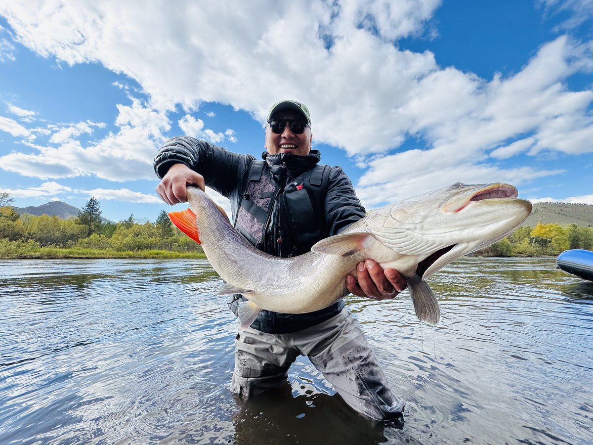 Ерөнхийдөө тул нь Монголын гол мөрний “хаан” хэмээгддэг, экосистемийн хувьд чухал нандин загас юм.