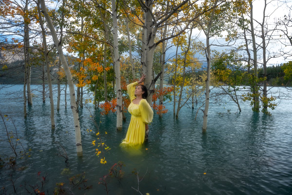 Palmiro Photography (@paul22331880932) on Twitter photo 