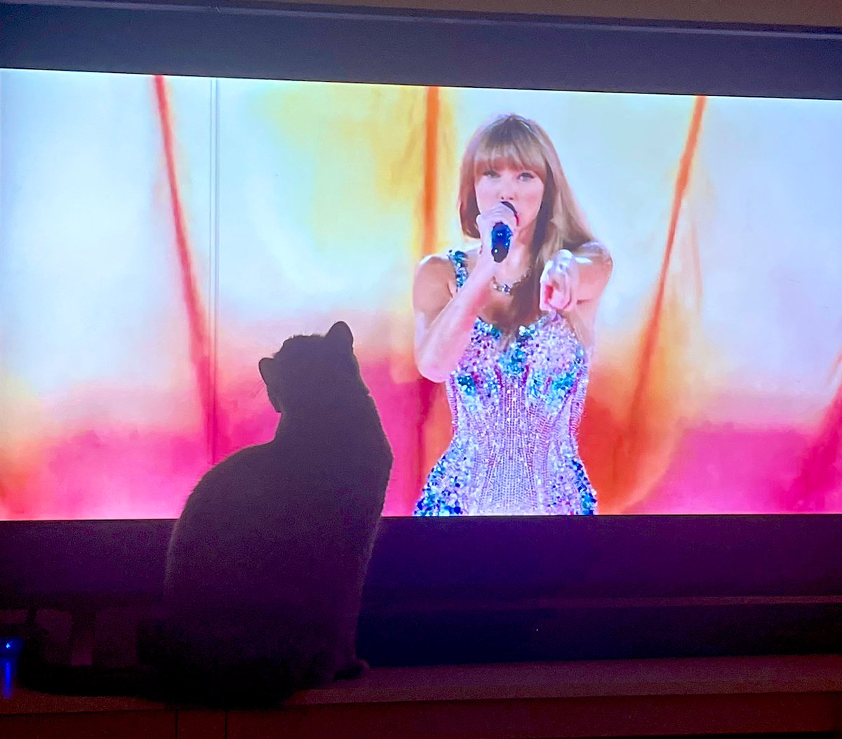 Waiting for #TLOAS while watching The Eras Tour Movie with a cat blocking my view the way Taylor intended 🧡💜🩵