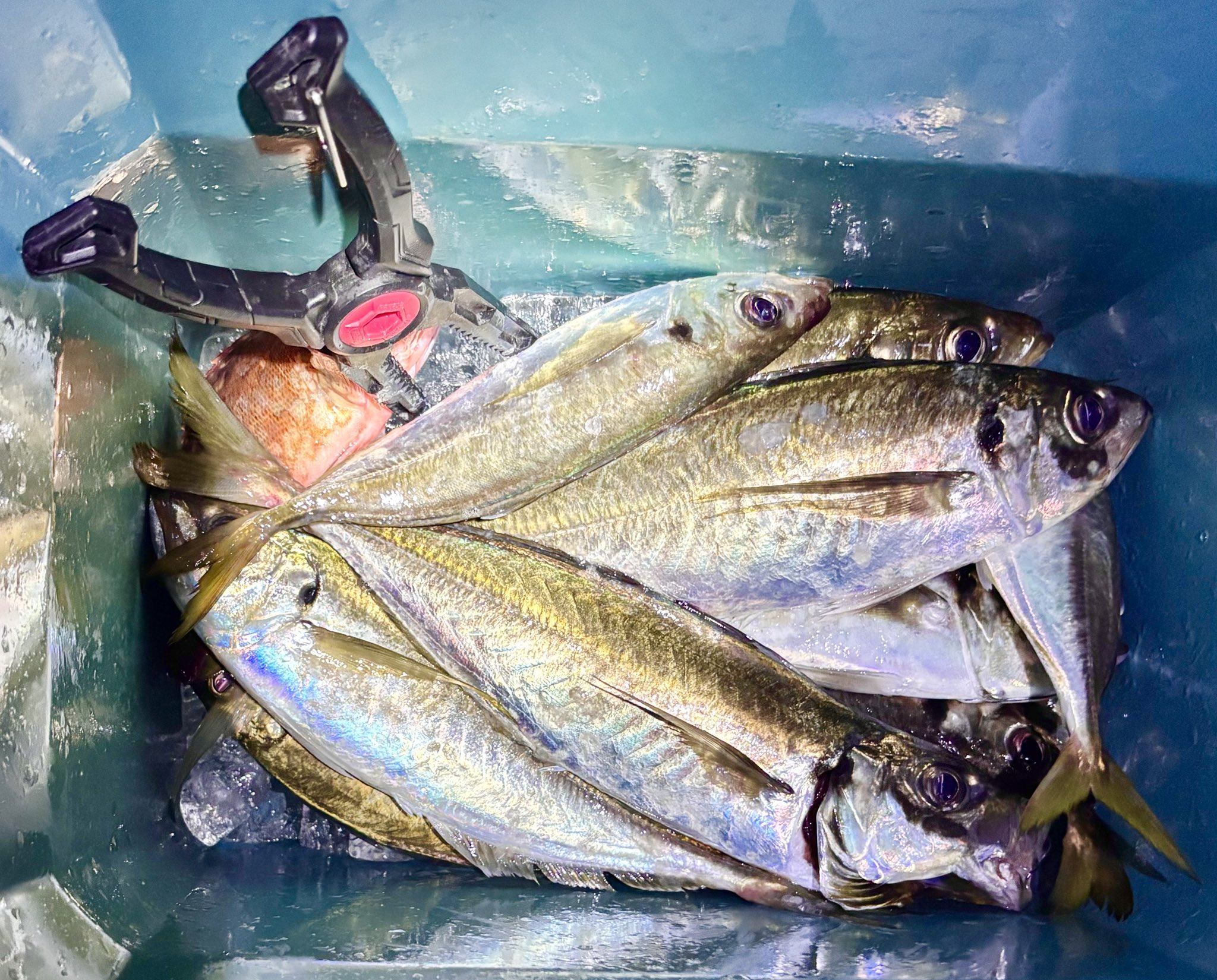 鈴木貴文（たかちゃん） on X: 