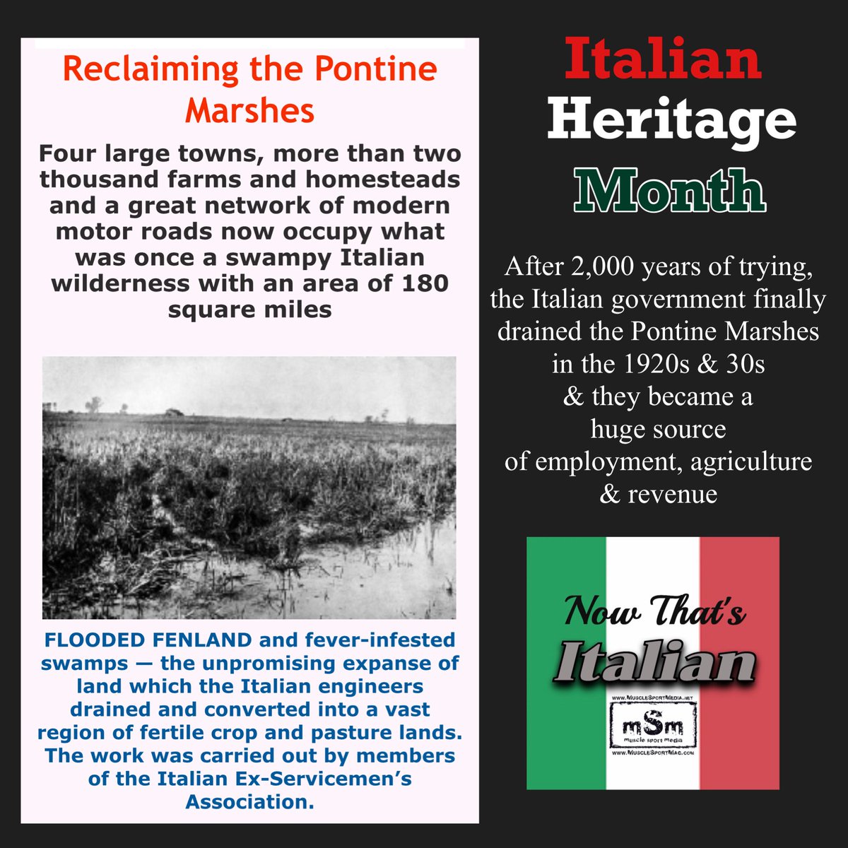 Italian Heritage Month. Dove mi paesani? 🇮🇹 <a href="/PeterA1331/">PeterAnthony</a> <a href="/threeinningfan/">Kelley Franco</a> <a href="/HardcoreItalian/">Hardcore Italians</a> <a href="/GrowingUpItalia/">Growing Up Italian</a> <a href="/gerard_marrone/">Gerard Marrone</a> <a href="/MikeCrispi/">Mike Crispi</a> <a href="/TheIACRL/">The Italian American Civil Rights League</a> <a href="/mamboitaliano__/">Mambo Italiano</a> <a href="/ItalianTribune/">The Italian Tribune</a> <a href="/sayitnspinit/">The Nasty Italian🍷🇺🇸 🇮🇹</a> <a href="/italamerican/">ItalianAmerican</a>