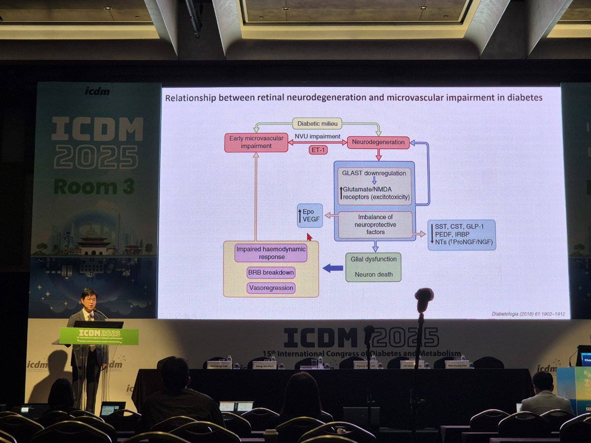JunyeopLee_AMC's tweet image. Sep 25-27, ICDM 2025, Seoul
Honor to present at ICDM every year, but this was more meaningful as I spoke on the “Beyond the Vessels.” Conversations with other fields are always inspiring, reminding me of the importance of patients’ metabolic states and underlying diseases. #ICDM
