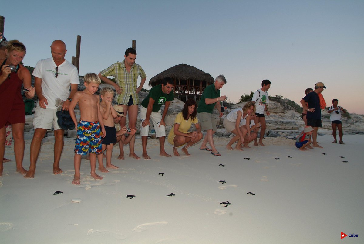 🌴☀️ ¡Escapada de ensueño a Cuba! ☀️ Descubre las playas paradisíacas de Cayo Guillermo. ¡La experiencia que siempre soñaste! 🏖️

#CubaConAmigos #ViajarACuba #PlayasCubanas #Vacaciones #Cuba #CubaÚnica #CubaTravel
