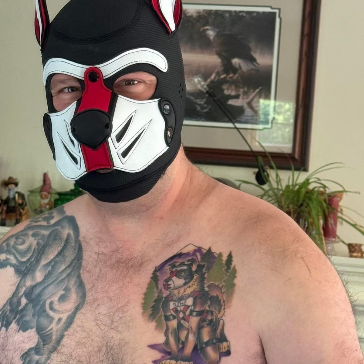 Mister Buttcheeks tweet media