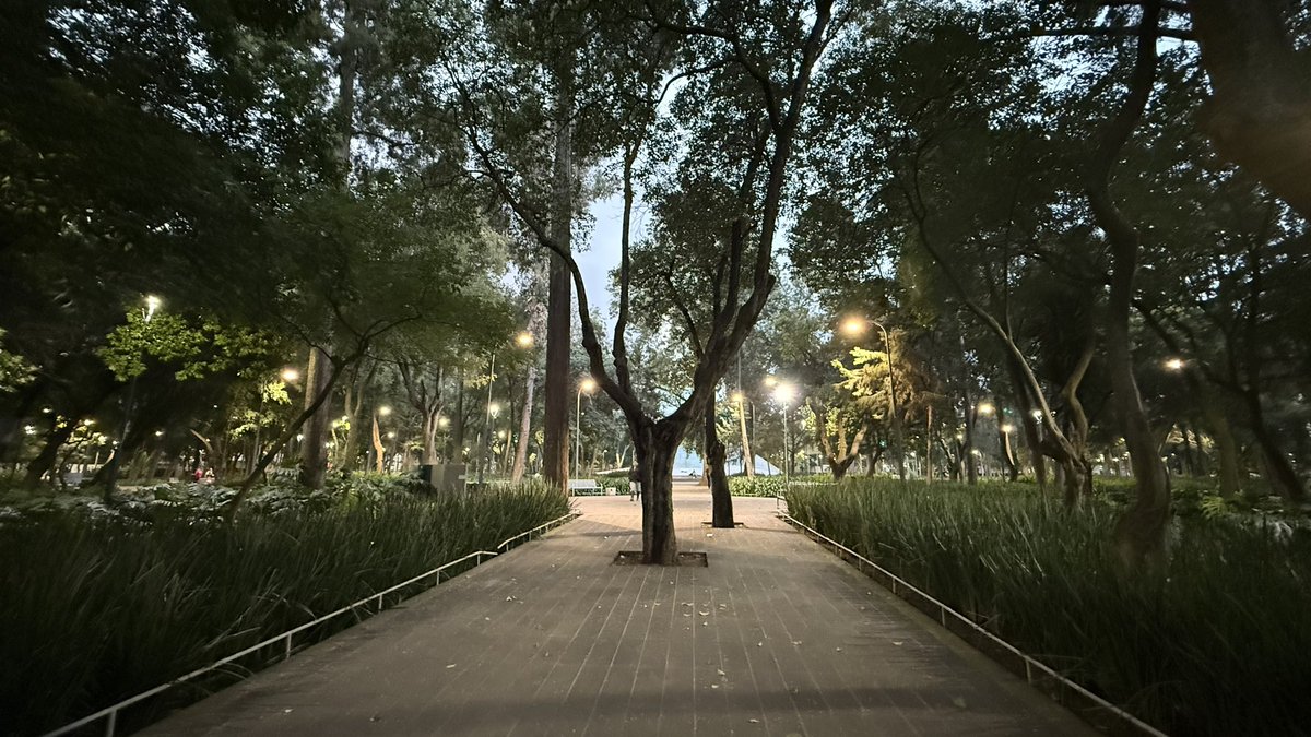 EnlaNapolesBJ's tweet photo. @LuisMendozaBJ Ojalá podamos tener parques como los de las otras Alcaldías!! Aquí La Bombilla (AO) vs Parque Hundido!!! Terrible la diferencia! https://t.co/ckS2zR1evQ