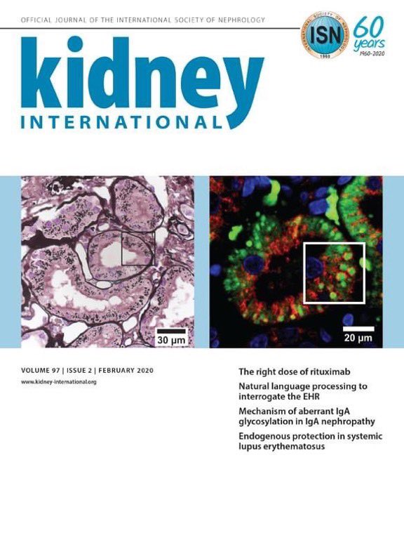 nefrorantes's tweet image. #CINAC #Timeline 2019 @ISNkidneycare #Kidneywk @ASNKidney @Kidney_Int pubmed.ncbi.nlm.nih.gov/31892415/