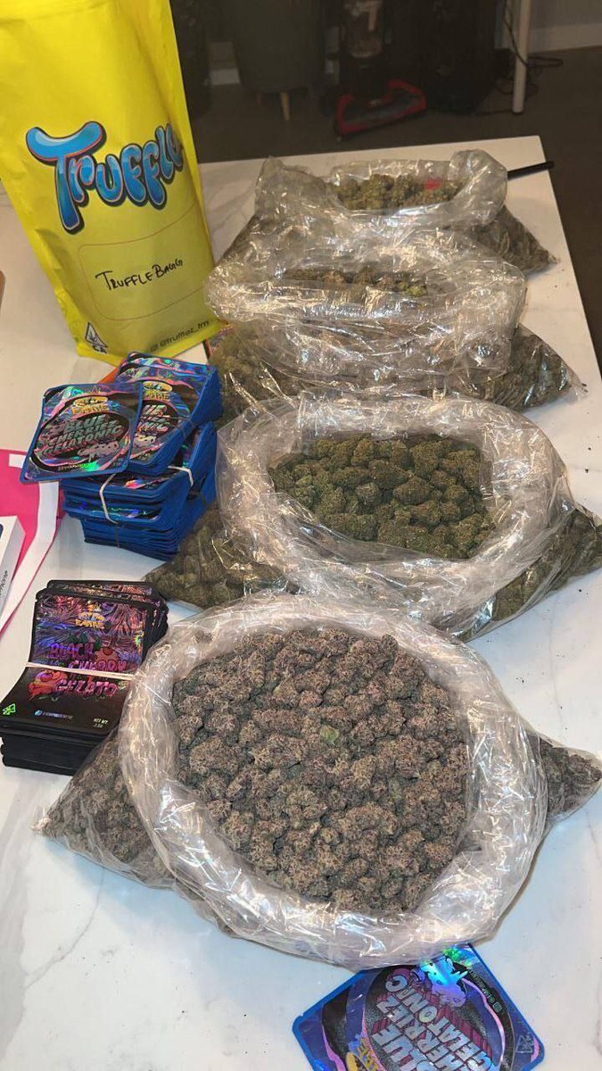 LiftedleafHQ's tweet photo. What's your first Move on a free 4 Pound bag if it was given to you rn?? https://t.co/xWIMDkVQZm