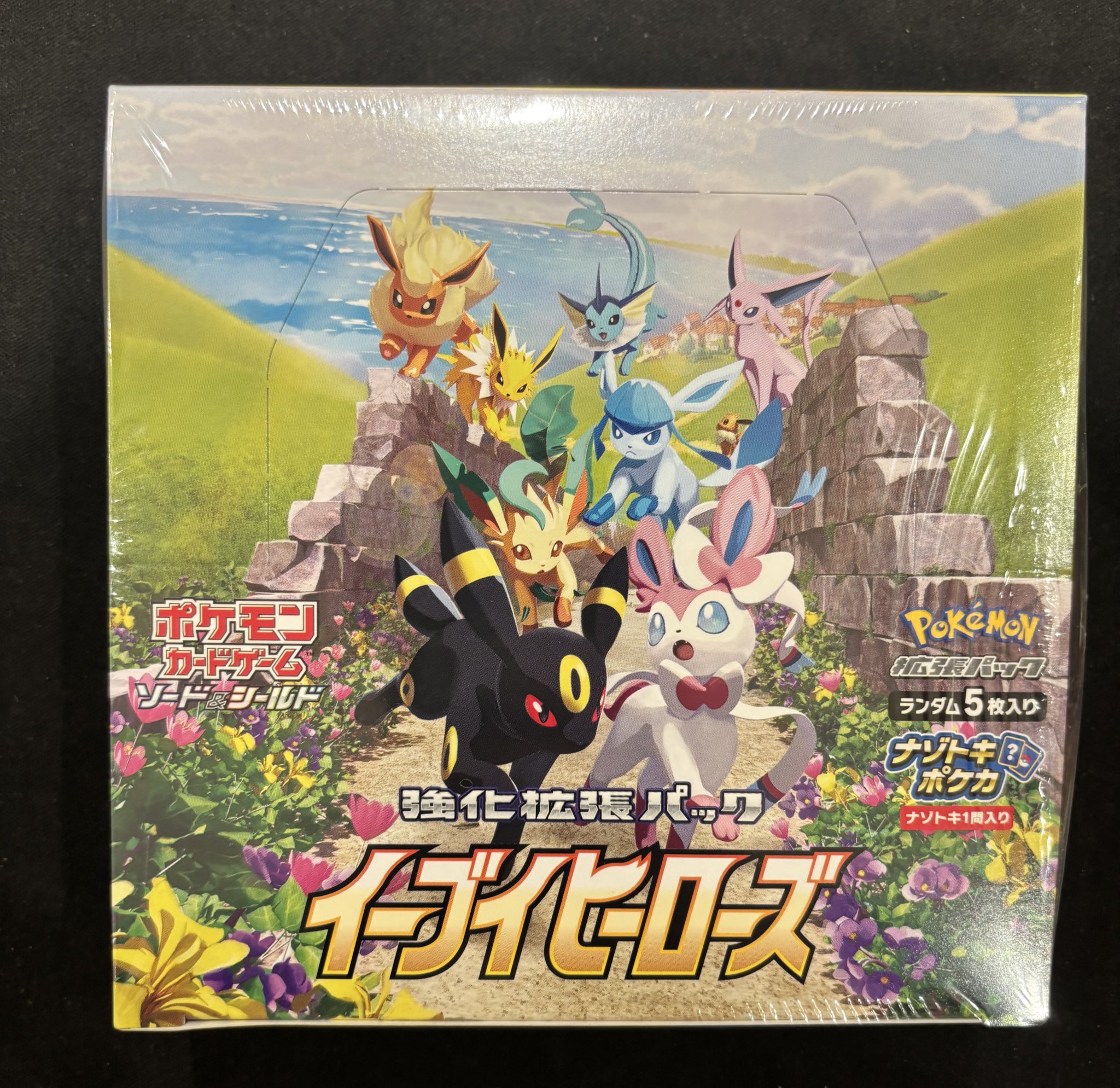 フォロワー限定！フォロワー1600人で300円！イーブイヒーローズ未開封box イーブイヒーローズ 未開封BOX 2BOXの通販 ユウポケギ