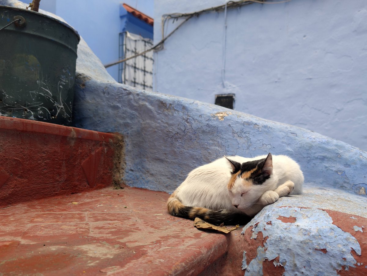 googlejapan's tweet image. 【お知らせ】
明日 10/4 (土) 23 時放送のアナザースカイで、
Google Pixel の新 CM が初公開！
目的地は、スーク・砂漠・ミントの香りがする場所。
どこだと思いますか？

#GooglePixel
#ANOTHERSKY