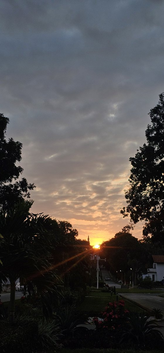 KorzisTechZone's tweet photo. Sunset shot at the University of Ghana #Sunset #legon #Phone_WaIlpapers #NaturePhotography #NatureBeauty https://t.co/LiP9SdBwrv