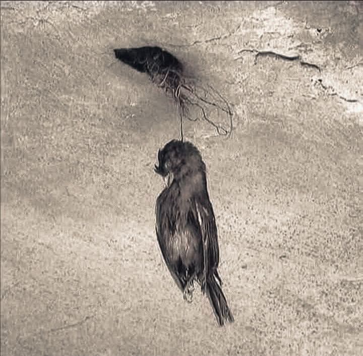 #تتكفون_ساعدو_زوجي_منصه_احسان 
" قد يقتلك ، ما تعبت لأجله."🥺