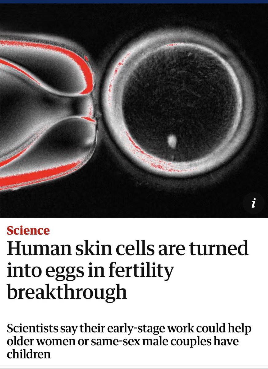 I wasn’t kidding when I said I’d have my first baby in my 70s.

🚨Scientists just pulled off something wild: 
They turned skin cell nuclei into eggs.
Embryos from body cells.

Menopause may not end fertility.
We may all get to be parents someday.