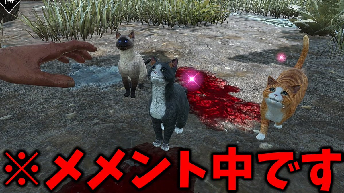 ぶ*猫様 逆鱗-SESSYU- somabito/ソマビト&ゼロジュアリー風シェ 逆鱗-SESSYU- somabito/ソマビト&ゼロジュアリー風シェード