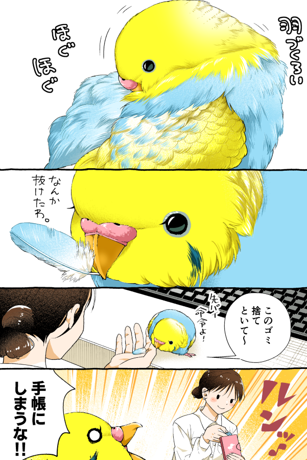 羽根は捨てずに。
--
「いじわる先輩、インコになった!? by初丸うげべそ @ugebes0 」
#ヤメコミ #インコ
▼初丸うげべそさんの漫画を読む
https://t.co/xT8H062ErA