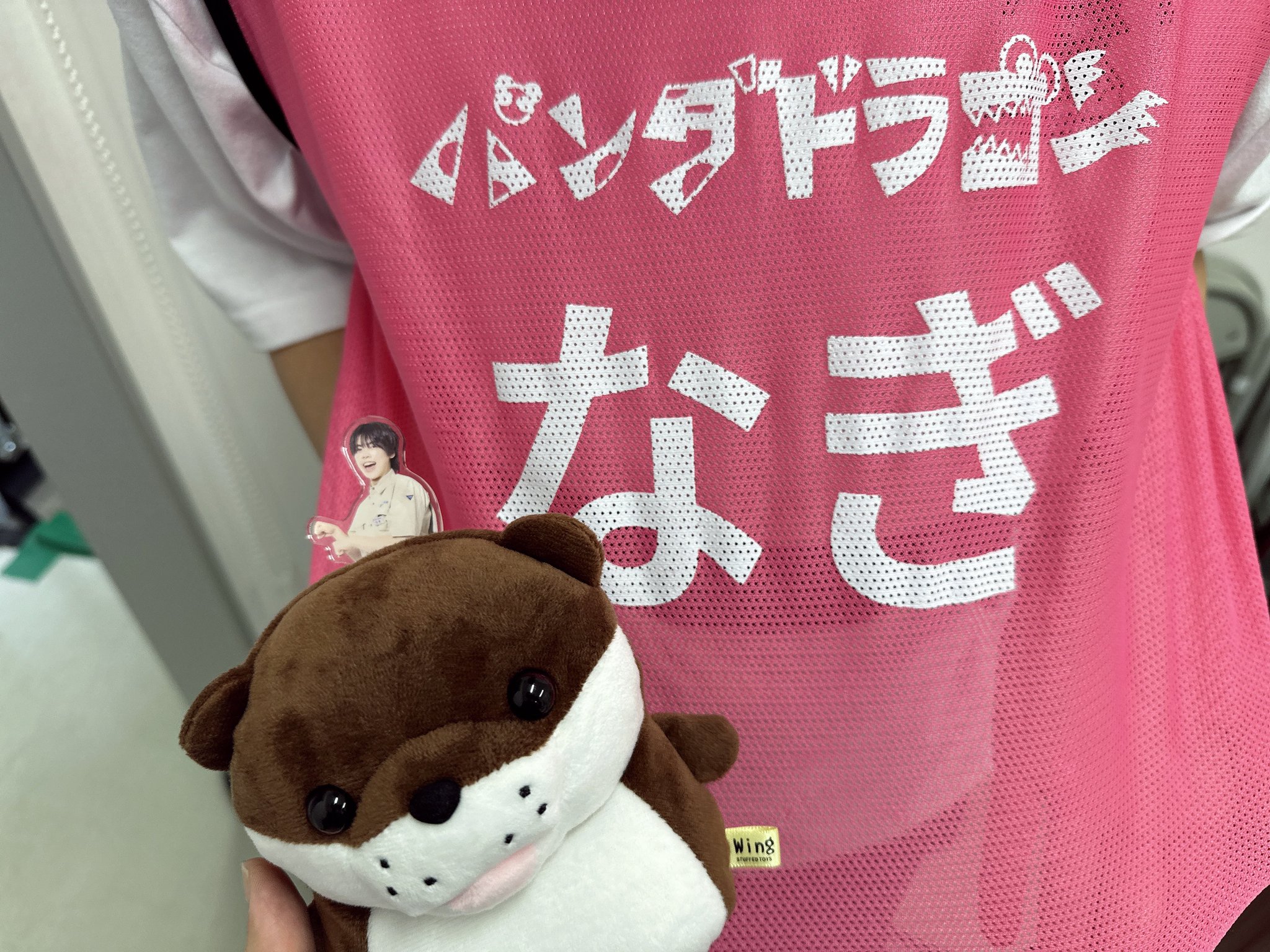 パンダドラゴン なるき まとめ売り 61GH4eByoCL._UF350,350_QL50_.jpg