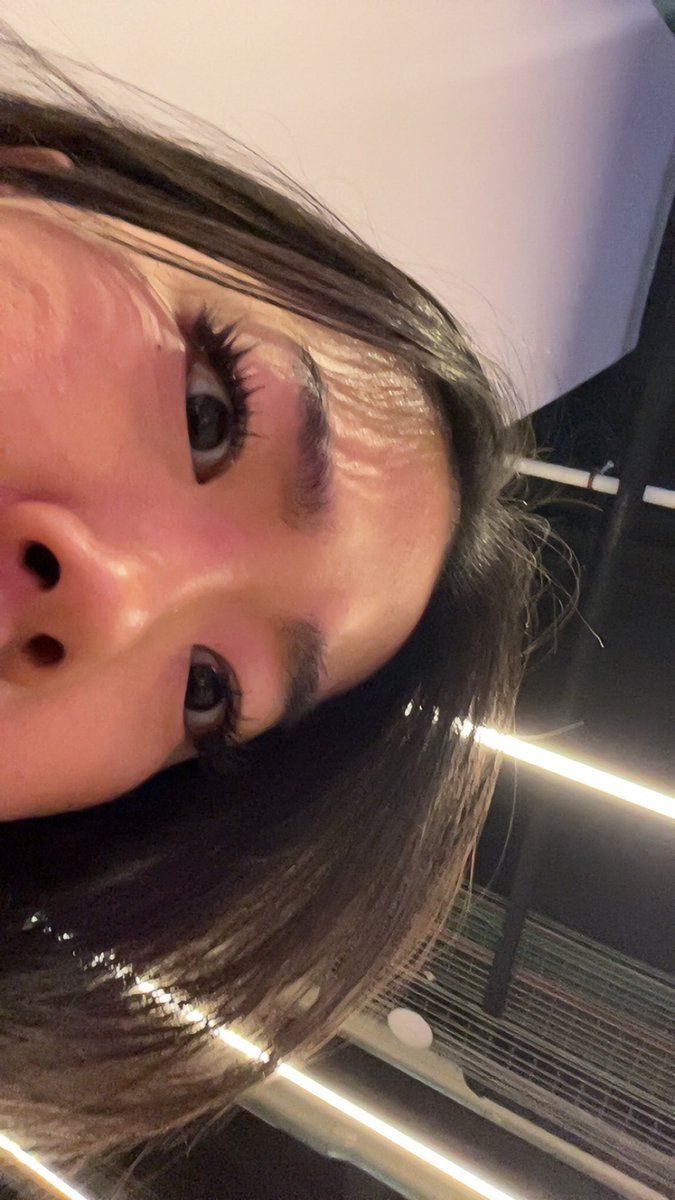 emily tweet media