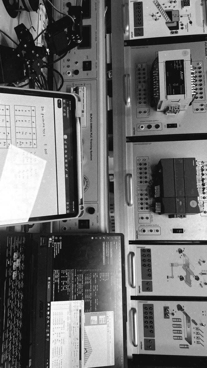 แมวรออยู่