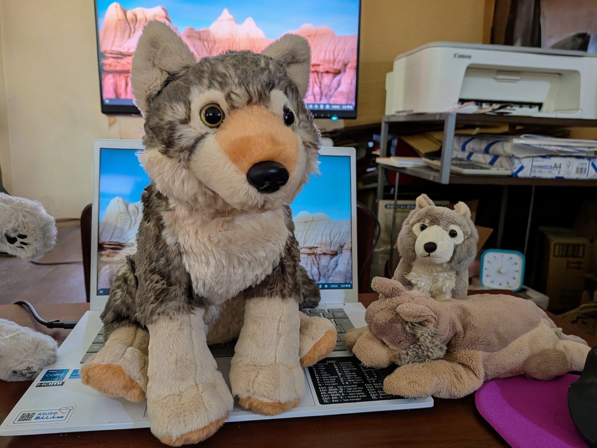 harunoriyukamu's tweet image. 有志のnote読者からいただいたチップの護摩焚きで、こどもおおかみさん🐺🥰をお迎えしました🥰🥰🥰
愛機ASUS Chromebook Plus CX34に鎮座するのが、新しい家族です🥰🥰🥰 #note