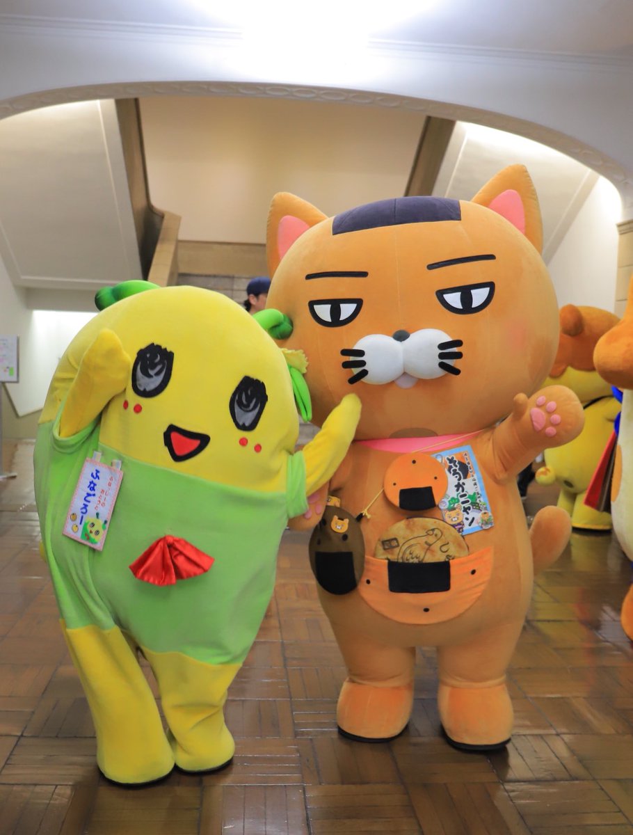 sokanyan222's tweet image. ご当地キャラカーニバルinぐんま🎉の思い出📷✨ニャーンฅ(ↀᴥↀ)ฅ🍘

とってもかわいい✨
ふなごろーちゃんニャーン🎶✨
ふなごろーちゃんに草加せんべい🍘食べさせてもらったニャン😆🍘✨
ニャハハ🎶

#ご当地キャラカーニバルinぐんま
#ふなごろー　ちゃん
#そうかニャン