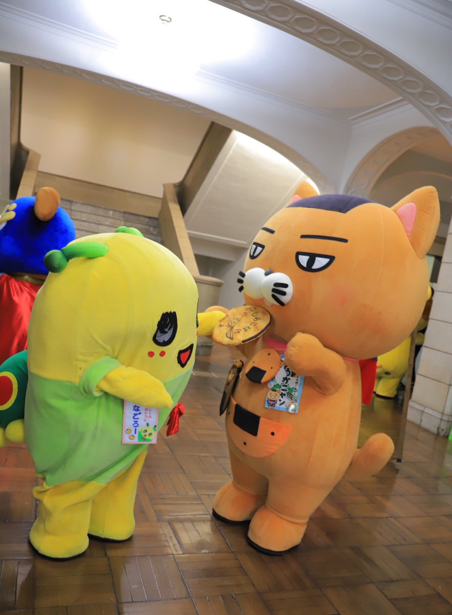 sokanyan222's tweet image. ご当地キャラカーニバルinぐんま🎉の思い出📷✨ニャーンฅ(ↀᴥↀ)ฅ🍘

とってもかわいい✨
ふなごろーちゃんニャーン🎶✨
ふなごろーちゃんに草加せんべい🍘食べさせてもらったニャン😆🍘✨
ニャハハ🎶

#ご当地キャラカーニバルinぐんま
#ふなごろー　ちゃん
#そうかニャン