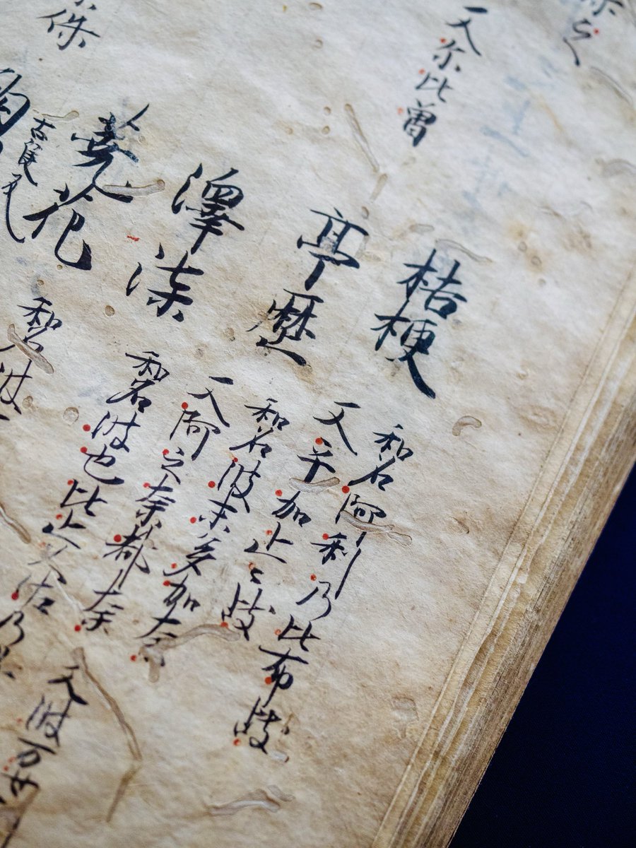 学芸員の霊宝館日記02  
医心方は平安時代の鍼博士丹波康頼が撰述した後、永観２年(984)に奏進したもの。中国の医学書を百種以上使用しまとめています。
その中から、現在は秋の七草としても知られている「桔梗（キキョウ）」。和名（日本での呼び名）は「阿利乃比布岐（ありのひふき）」とあります。