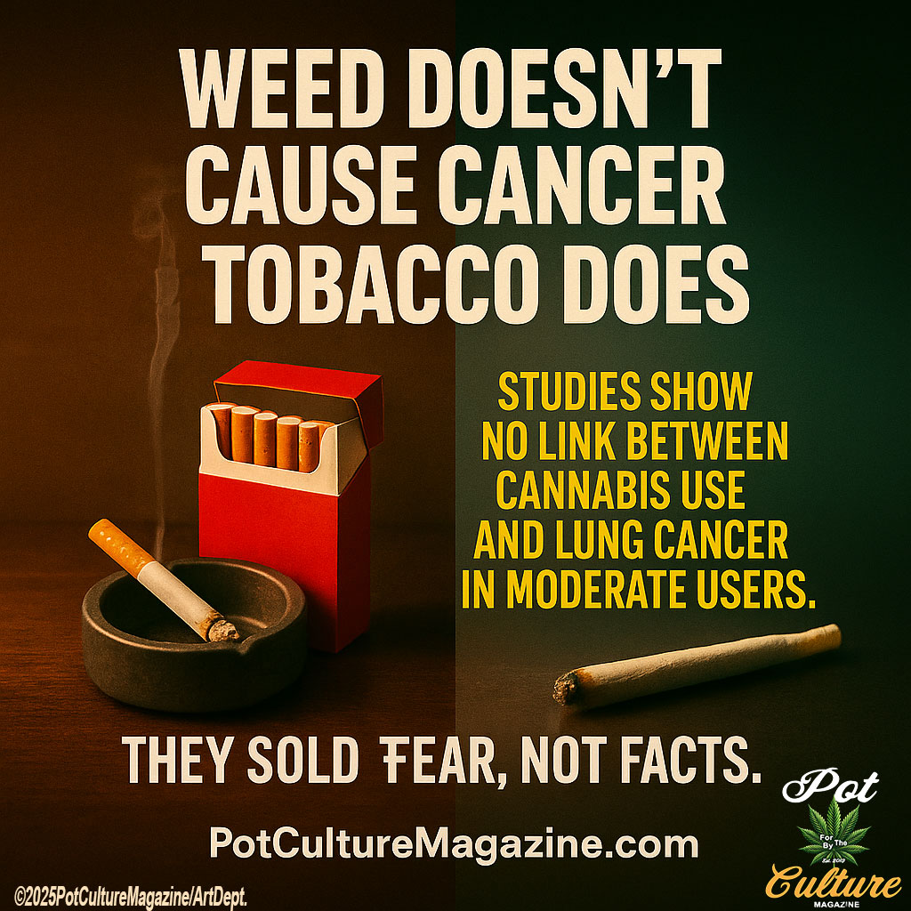 PotCultureMag's tweet photo. Weed doesn’t cause cancer. Tobacco does. Studies show no link between moderate cannabis use and lung cancer. They sold fear, not facts.
#PotCultureMagazine #PCA #Cannabis #WeedFacts #WeedTruth #420Community #CannabisCulture #StonerFam #Weed #Tobacco #Cancer #Fear #Facts https://t.co/Wi0FQelZa7