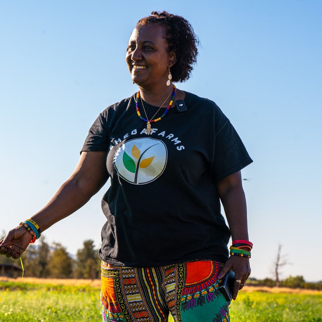SacObserver's tweet image. Discover the journey of teff, a tiny but mighty grain, as it takes root in California&apos;s agricultural landscape thanks to one woman&apos;s persistence. To read the full story click the link in comments. sacobserver.com/2025/10/ethiop…