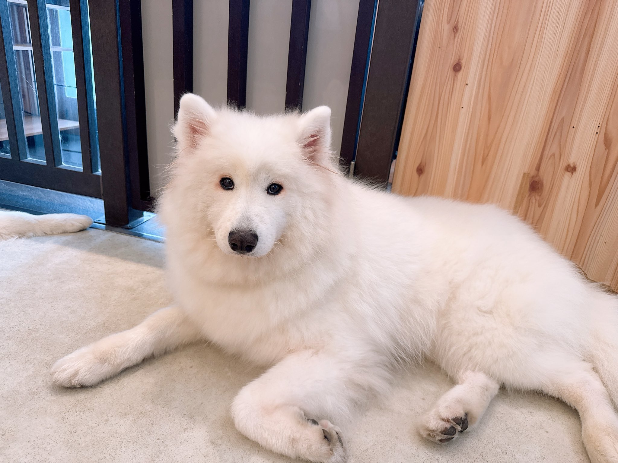 べーやん様♡専用ページです① 19点 ベーヤン (@Pf3Ikbeyan2002) / X