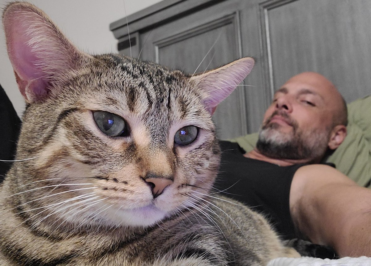 JRMontarbo's tweet image. #Goodnight 🙌😀
#Pip 🐈 
#Blessed
✌️❤️🙏