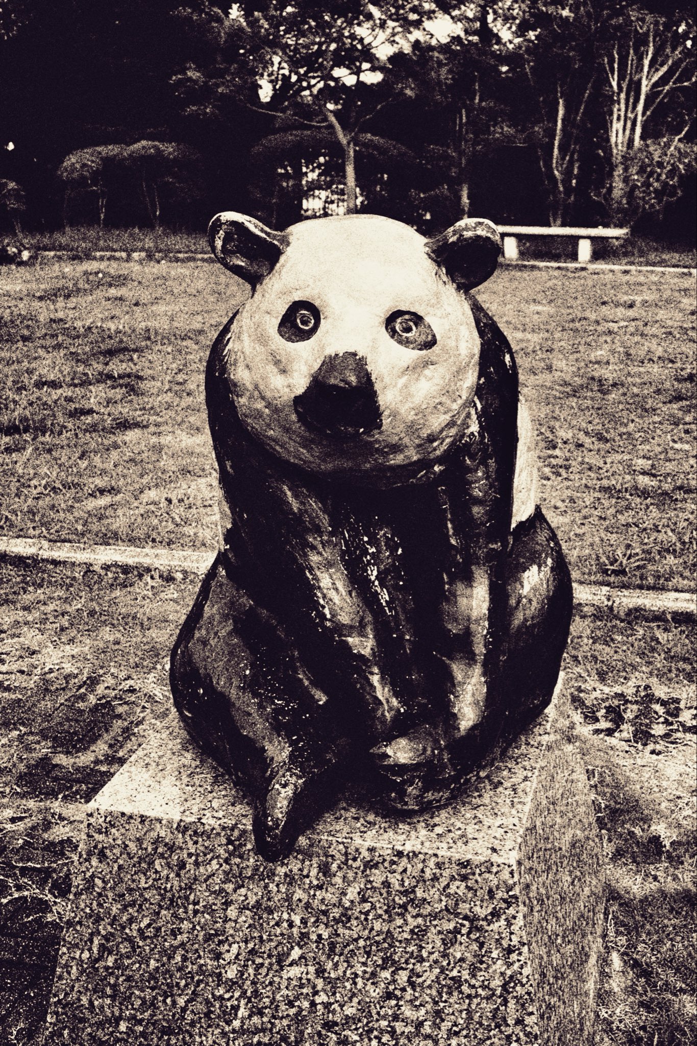 天邪鬼様　計５点 卍 - Search / X