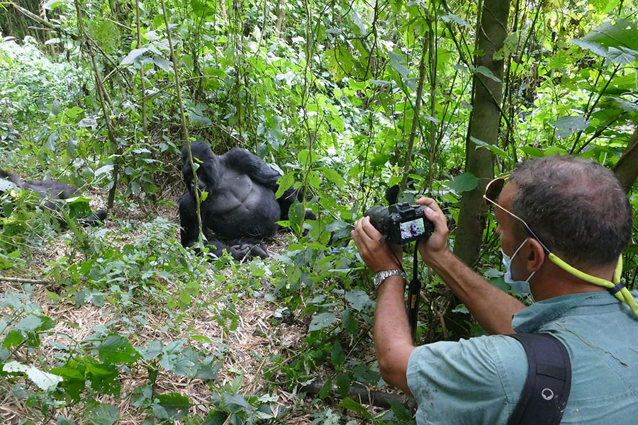 DagizTravel's tweet photo. 📸 Primate Trek Photography Tips 🦍

✔️ No flash
✔️ Zoom lens for close-ups
✔️ Steady hands / monopod
✔️ Include forest setting 🌳
✔️ Be patient for natural moments
✔️ Protect gear from rain 🌧️
Capture magic, respect primates 🌿
#DagizTravel #WildlifePhotography https://t.co/nnQXi9Ln7c