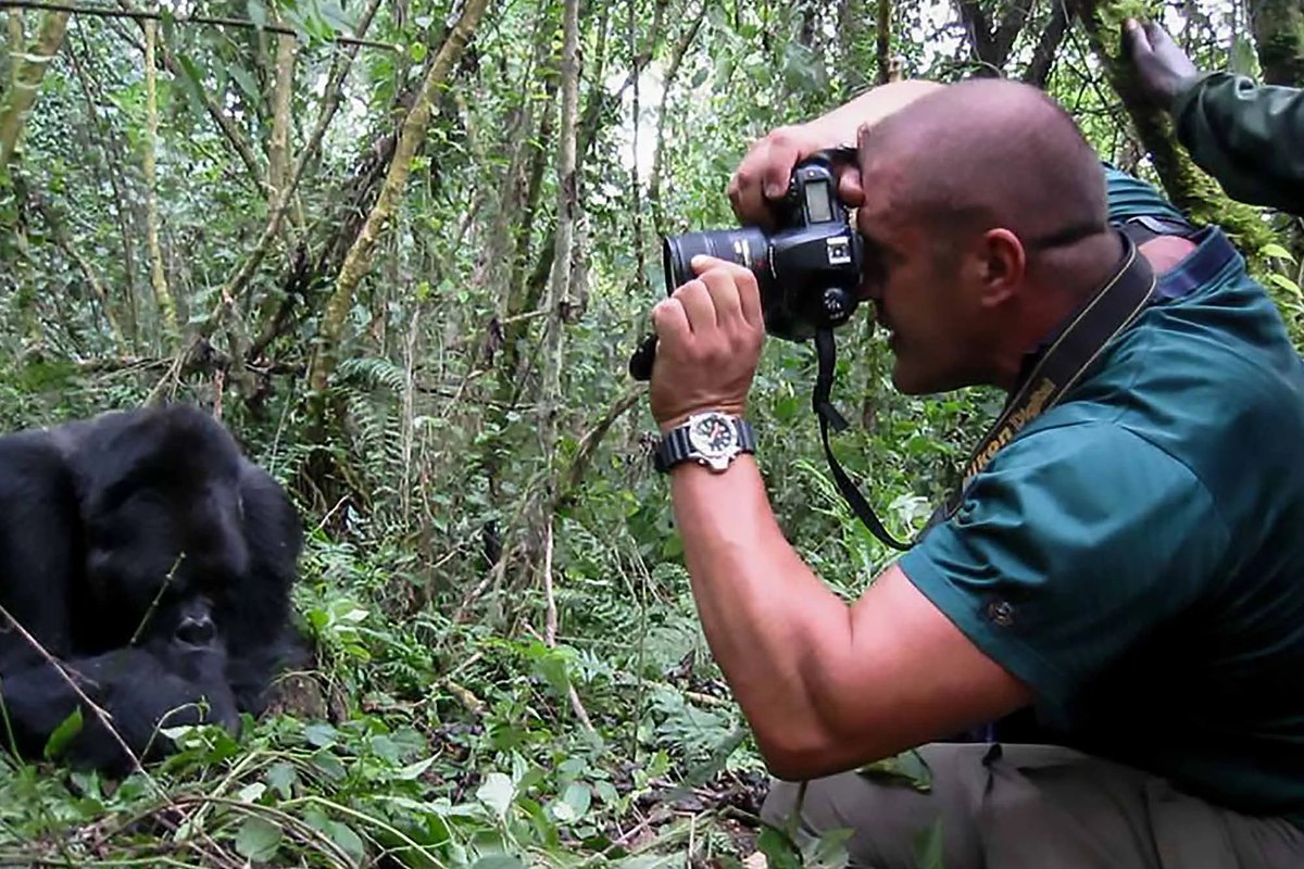 DagizTravel's tweet photo. 📸 Primate Trek Photography Tips 🦍

✔️ No flash
✔️ Zoom lens for close-ups
✔️ Steady hands / monopod
✔️ Include forest setting 🌳
✔️ Be patient for natural moments
✔️ Protect gear from rain 🌧️
Capture magic, respect primates 🌿
#DagizTravel #WildlifePhotography https://t.co/nnQXi9Ln7c