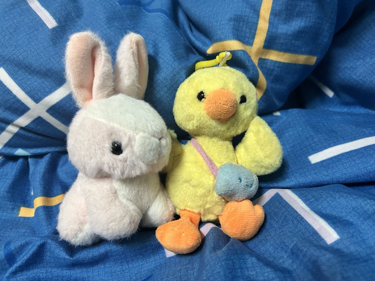ChangYisheng1's tweet image. お昼ですね❣️何を食べますか？
#ぬい撮り #ぬいぐるみ #rabbit