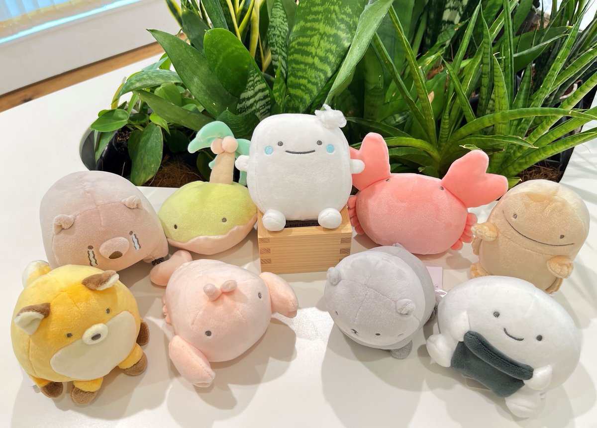 なんでもいきもの」は、「すみっコぐらし」の作者よこみぞゆりさん