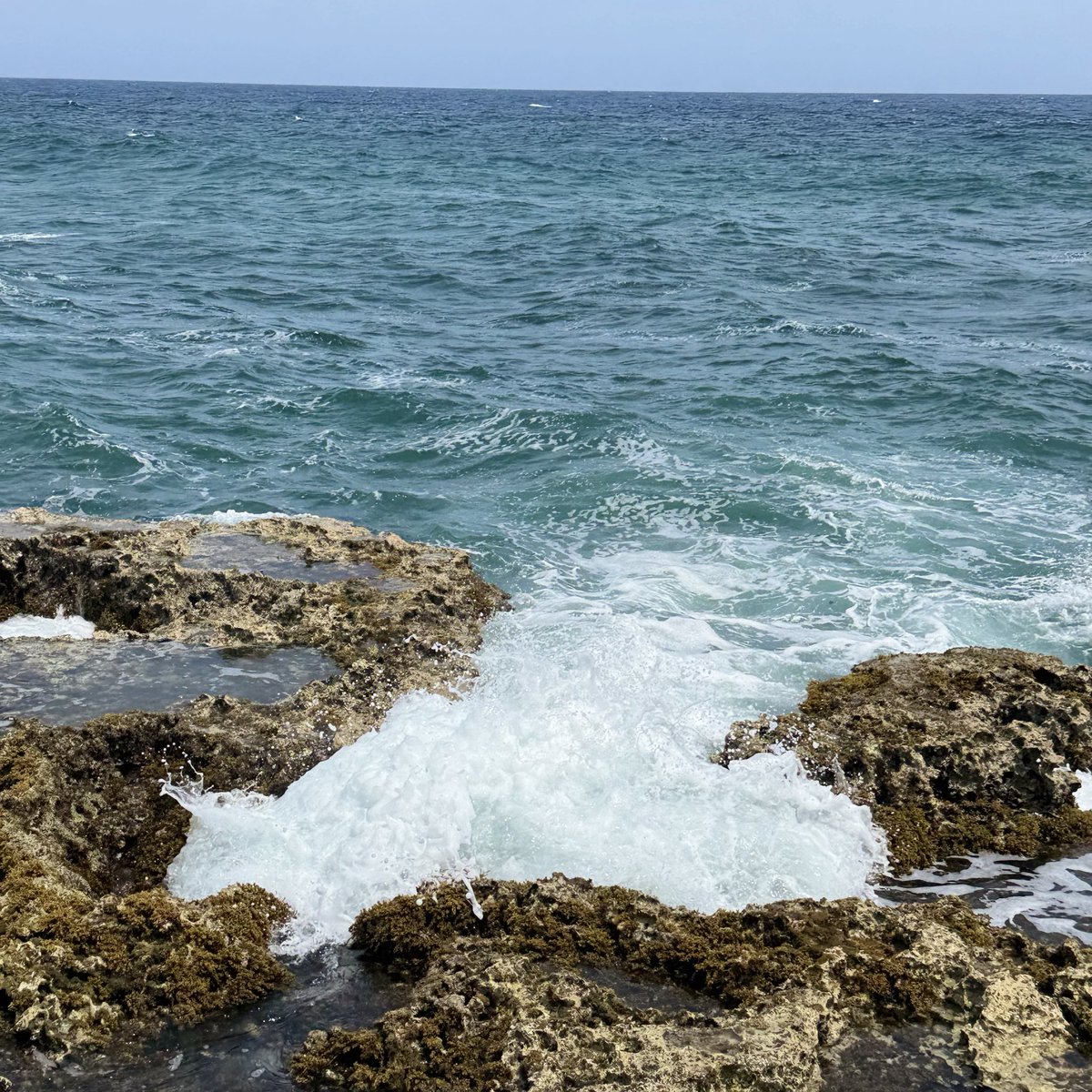 HopkinsKC tweet media