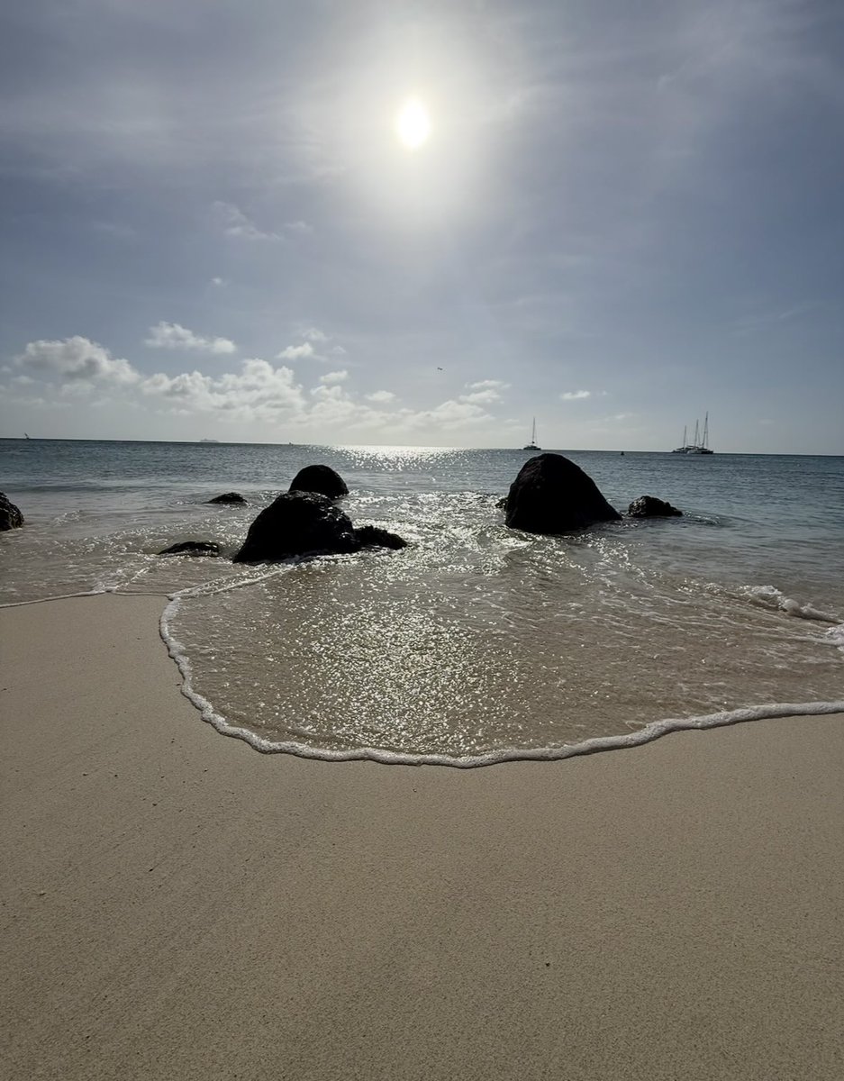 HopkinsKC tweet media