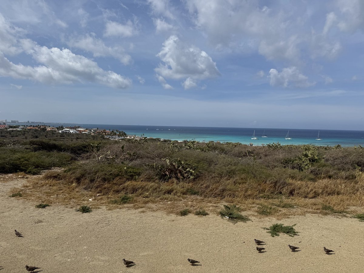 HopkinsKC tweet media