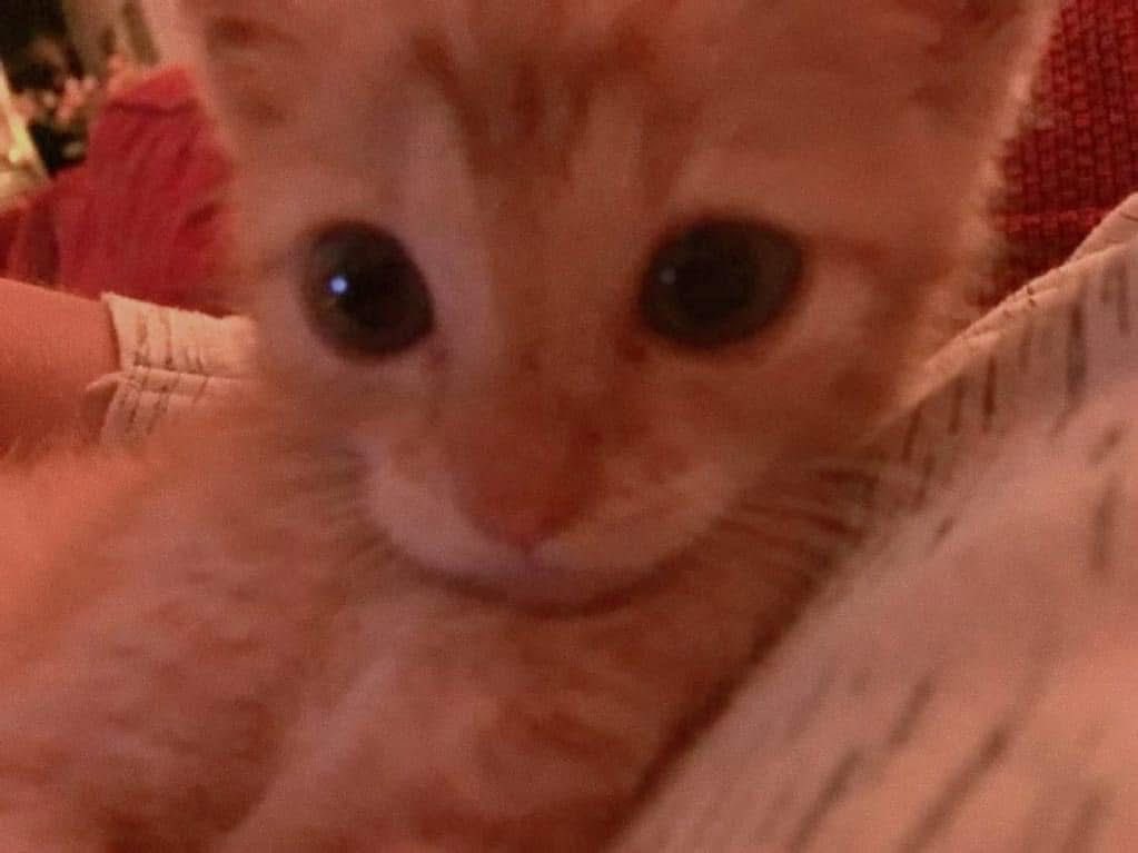 rㅜ tาmtัก Lฟลพีเพิ่น krับ🔫🔫