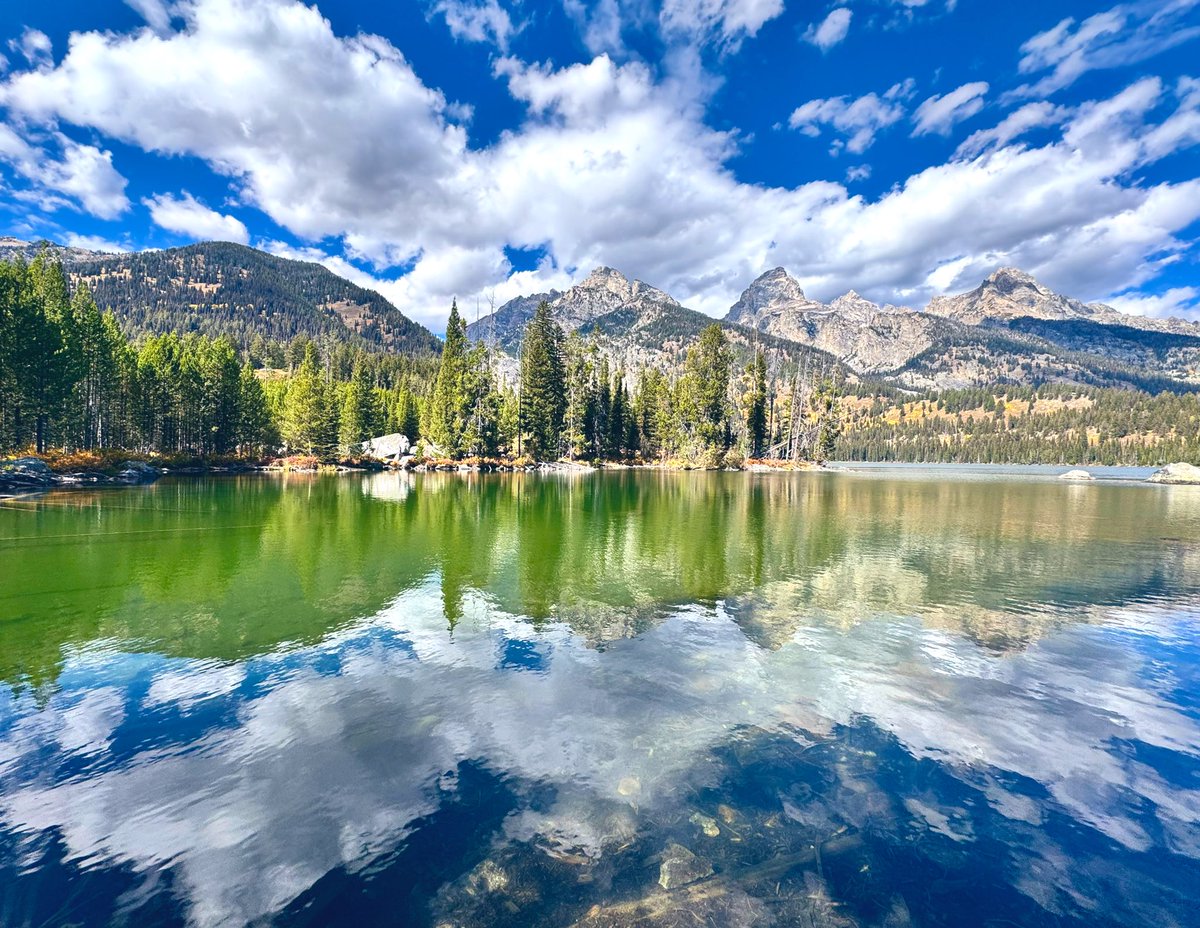 D Miller tweet media