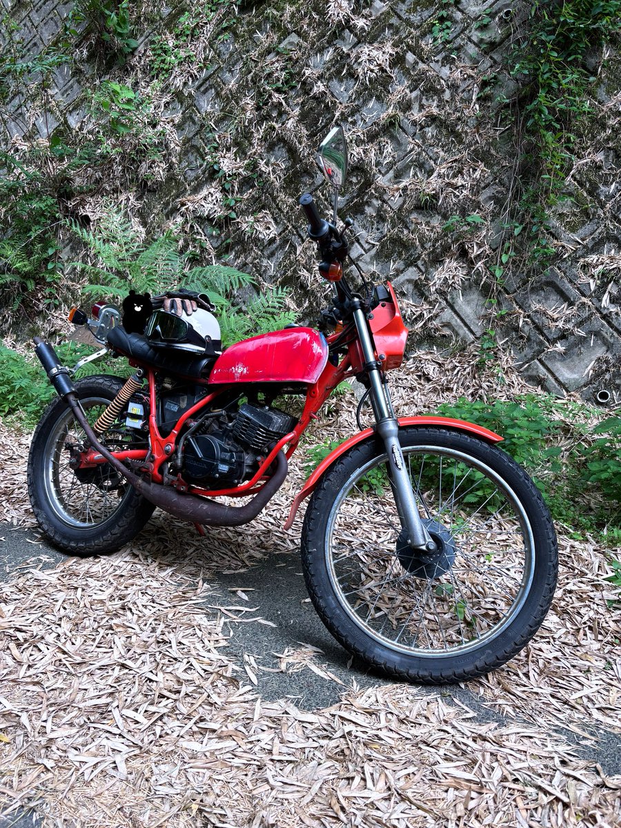 96black_ma's tweet photo. ホンダ車をひっぱり出す、その2!
#tlm50 #ad07 #トライアルバイク #ツインショックトライアル #ビンテージバイク #ストリート仕様 #バイク #バイク好きな人と繋がりたい #ジャドウスタイル #邪道Style #クロクマ #おでかけクロクマ #Qi_microN https://t.co/qKO1Dl7mcc